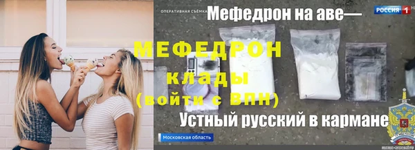 хмурый Аркадак