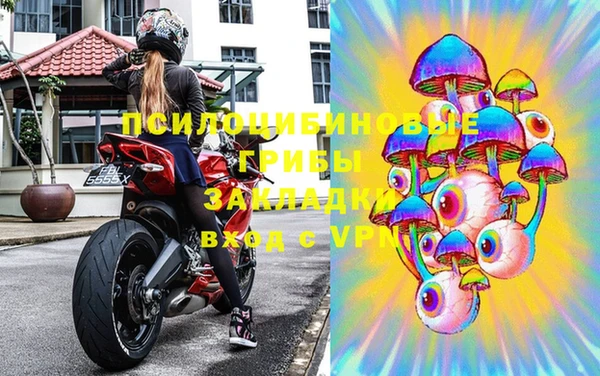 хмурый Аркадак