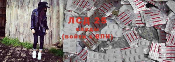 хмурый Аркадак