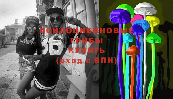 хмурый Аркадак