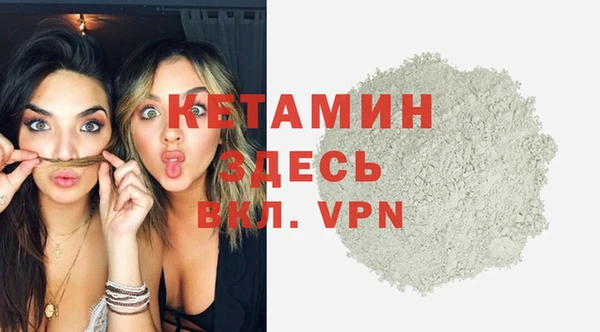 хмурый Аркадак