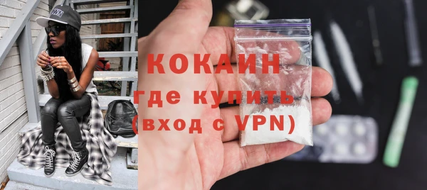 хмурый Аркадак