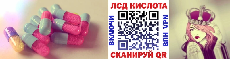kraken зеркало  Рошаль  ЛСД экстази кислота  сколько стоит 