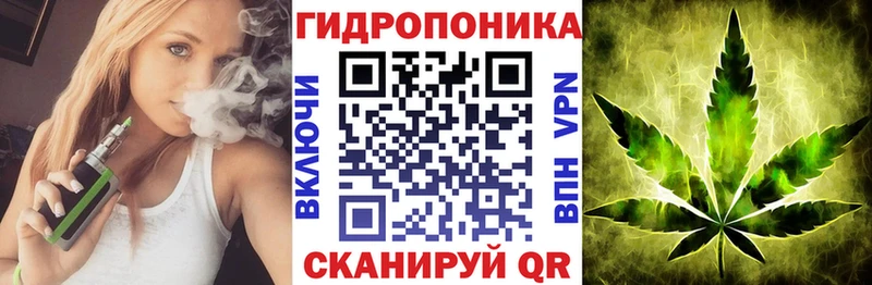 площадка состав  наркотики  Рошаль  Шишки марихуана тримм 